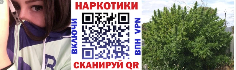 Наркота Новочебоксарск Альфа ПВП  Кокаин  Мефедрон  hydra сайт  LSD-25  ГАШ  Галлюциногенные грибы 