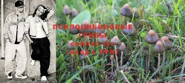шишки Волосово