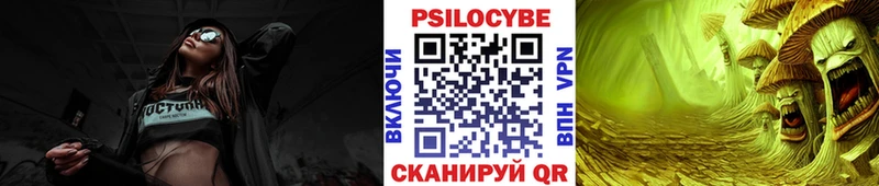 купить наркотики цена  Новочебоксарск  Псилоцибиновые грибы прущие грибы 