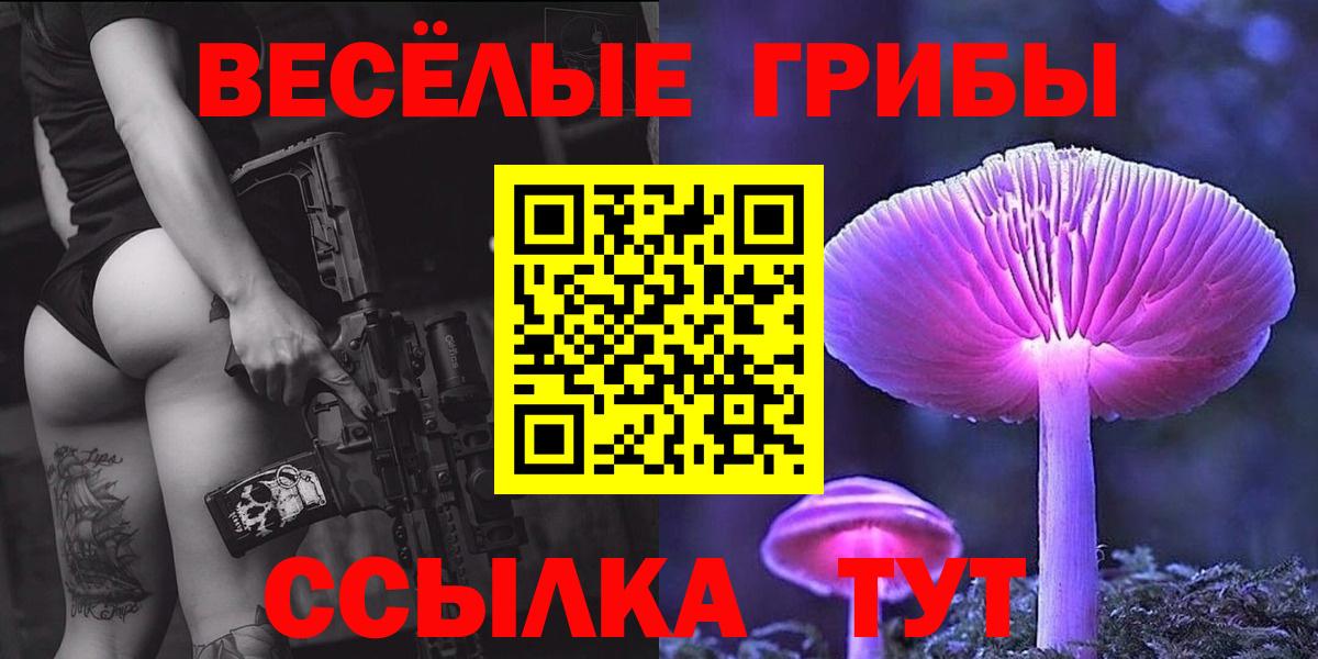 Псилоцибиновые грибы GOLDEN TEACHER  Вход с VPN  Новочебоксарск 