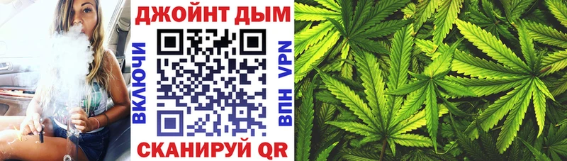 kraken как войти  где найти наркотики  Новочебоксарск  Шишки марихуана семена 